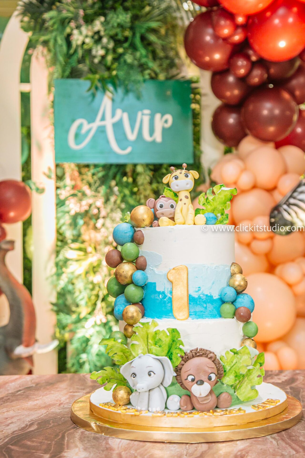 Smiles, Laughter, and Love – Baby's 1st Birthday Captured